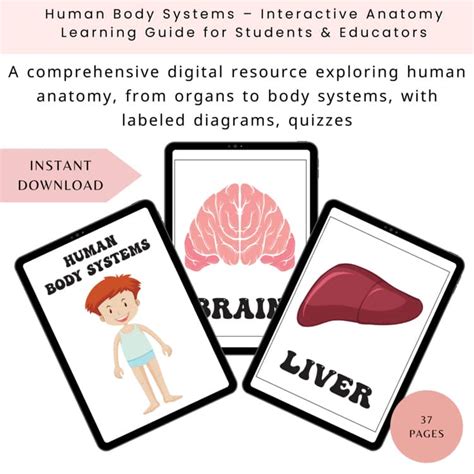 The Educator's Essential: Anatomy, Health & Learning