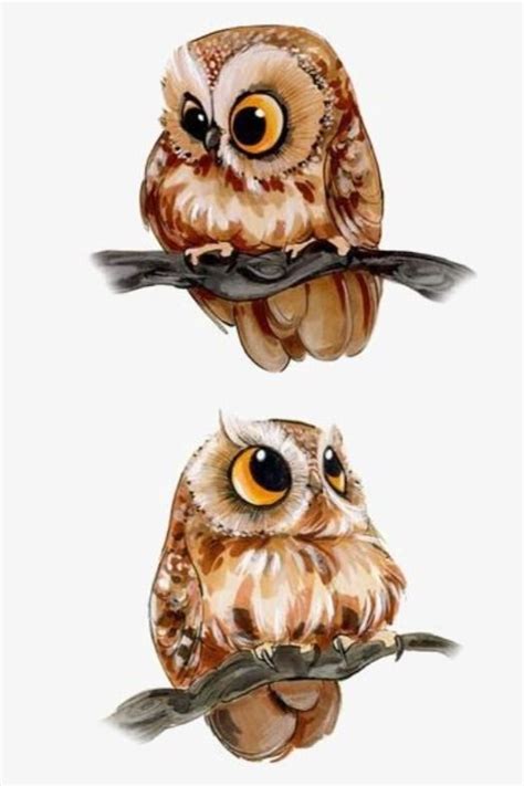 The Enchanting World of Owls: Why We Love to Color Them