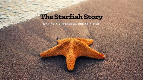 The Essence of the Starfish Story: Why It Resonates So Deeply