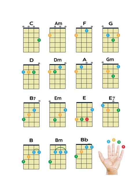 The Essentials: Basic Beginner Ukulele Chords for Instant Playability