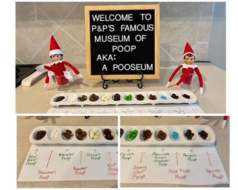 The Grand Vision: What Exactly IS an Elf Poop Museum?