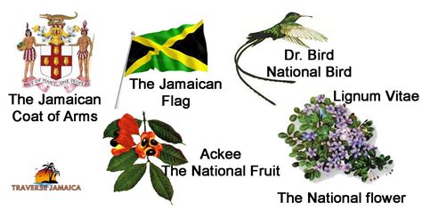 The Heartbeat of a Nation: Understanding the Jamaican Flag's Symbolism