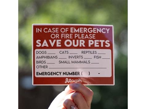 The Lifesaving Power of "In Case of Emergency" Stickers: Why They Matter More Than You Think
