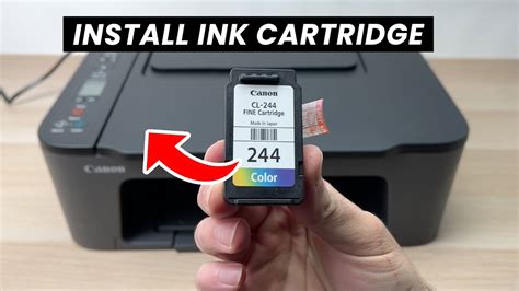 The Printer's Playground: Picking the Right Machine and Ink for Your Prints