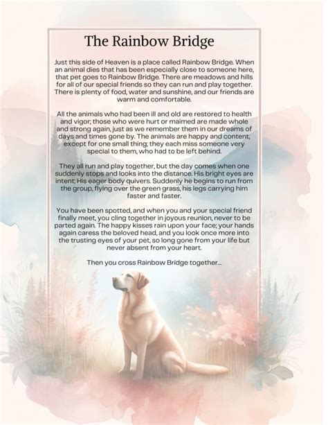 The Rainbow Bridge Poem for Dogs: Classic & Contemporary Versions
