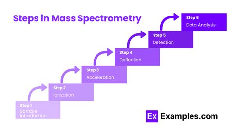 The Structure Unveiled: Step-by-Step Mass Guide