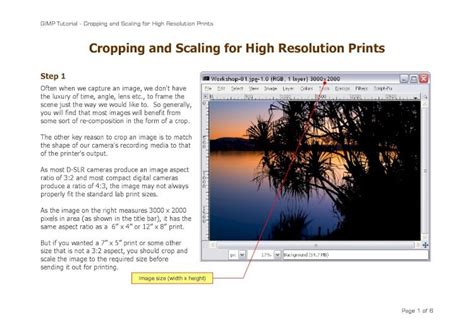 The Technical Tinsel: Mastering Scaling and Resolution for Large Prints
