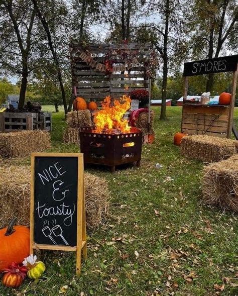 Themed Party & Event Decorations: A Harvest of Celebration