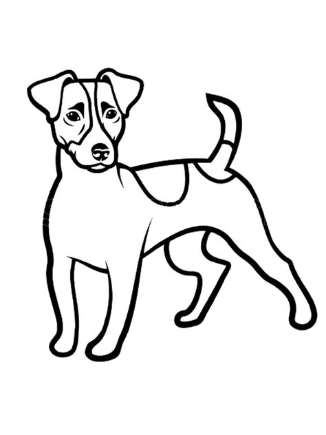 Tiny Tot Terriers: Simple Pages for Little Hands