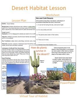 π‘ Tips for Personalizing Your Desert Habitat Lesson