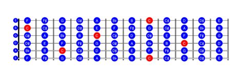 Tips for Personalizing Your Fretboard Learning