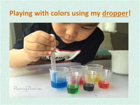 Tips for Personalizing Your Grade 3 Science Learning