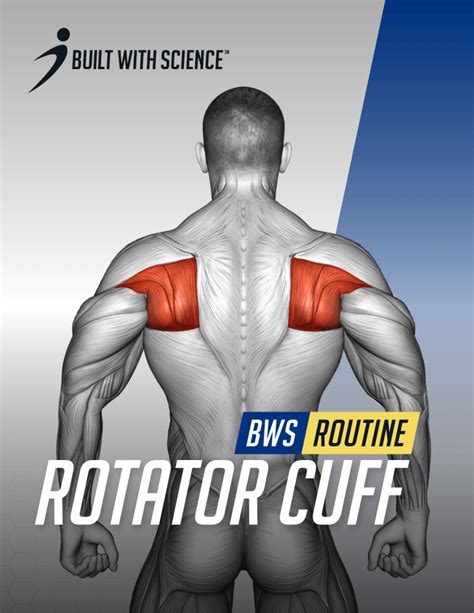 Tips for Personalizing Your Rotator Cuff Routine