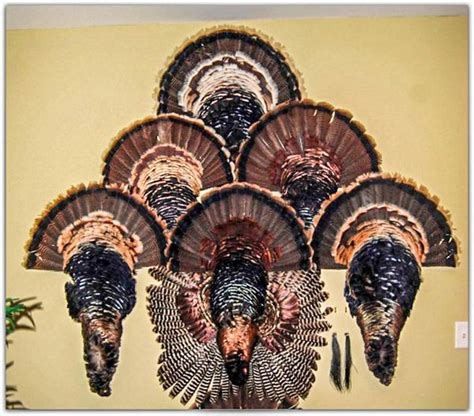 Tips for Personalizing Your Turkey's Grand Unveiling