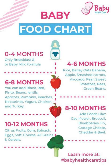 Transitioning Smoothly: Soft Food Phase Plans