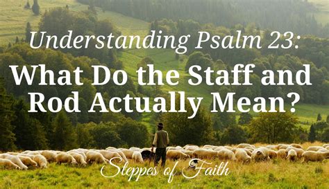 Understanding Psalm 23: The Timeless Message of The Shepherd's Care