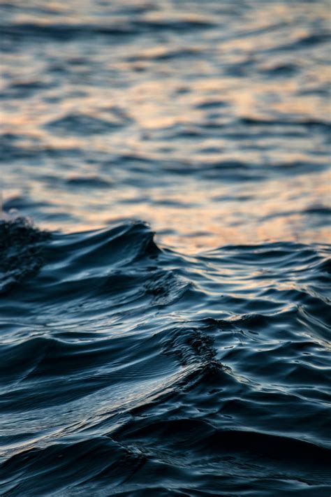 Unleash Your Inner Ocean Artist!