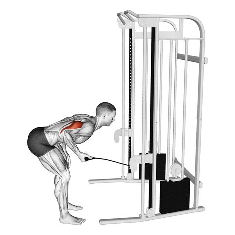 Unlock Your Potential: Curated Cable Workout Categories