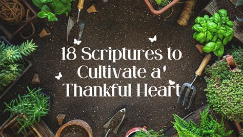 Verses for Gratitude & Joy: Cultivating a Heart of Thanks