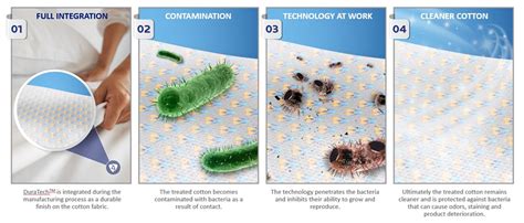 Wash & Wear: Ensuring Durability and Longevity