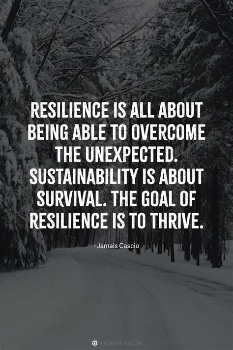 Weathering the Storm: Resilience & Perseverance Quotes