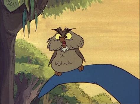 Whimsical & Cartoon Owls: Let Your Imagination Soar!