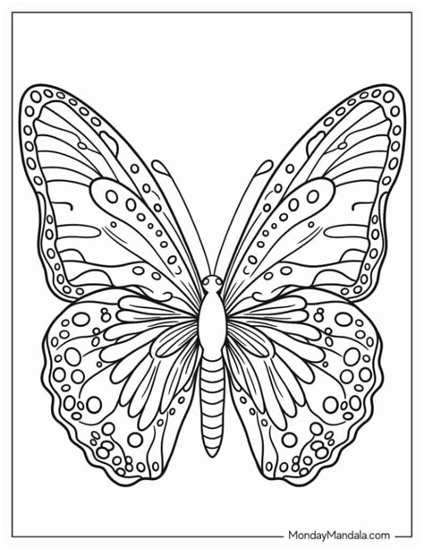 Whimsical & Fantasy Butterfly Coloring Pages for Pure Imagination