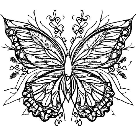 Whimsical & Fantasy: Magical Butterfly Coloring Printables