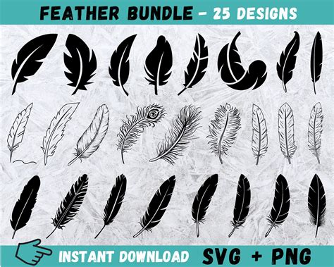 Whimsical & Stylized Feather Templates: Unleash Your Imagination