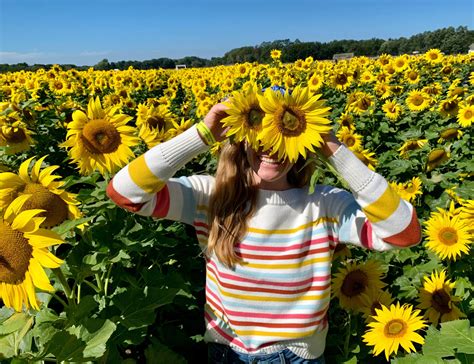 Whimsical & Wildflower Wonders: Unleash Your Inner Child