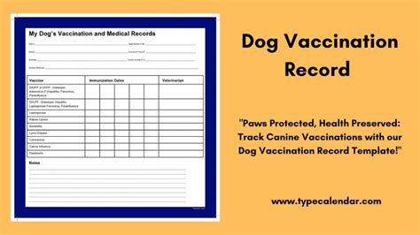 Why Your Puppy Needs a Dedicated Health Record (Beyond Just Shots!)