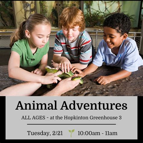 Wild Kingdom: Animal Adventures for All Ages