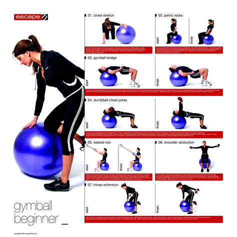 Your First Bounce: Beginner-Friendly Printable Stability Ball Exercises