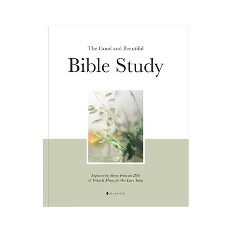 Your Journey Through Biblical History Awaits!