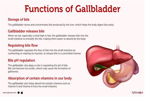 Your Journey to Gallbladder Comfort Starts Now!