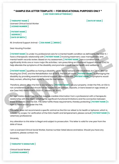 Your Step-by-Step Journey: Approaching Your Healthcare Provider for an ESA Letter