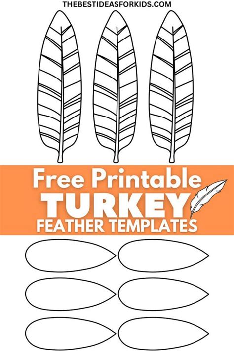 Your Ultimate Arsenal of Turkey Feather Pattern Printables