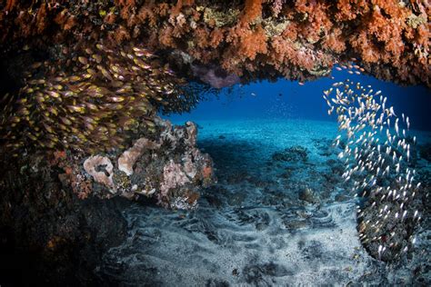 Your Underwater Adventure Awaits!